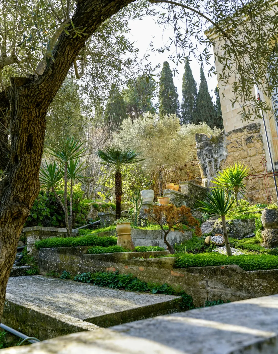 Jardín en terrazas de piedra con olivo, palmeras, cipreses y macetas de barro